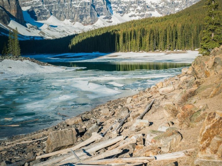 Experience Ultra-Luxury Living at DLF The Dahlias Gurgaon